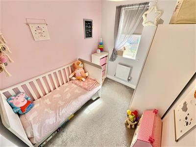 Picture 13